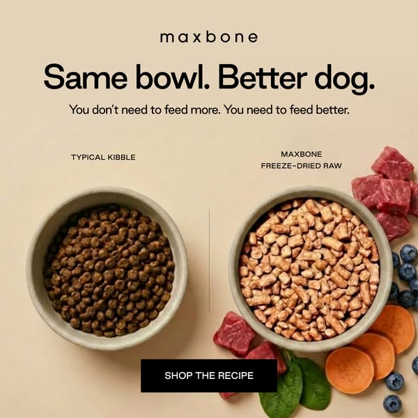 Same bowl. Better dog