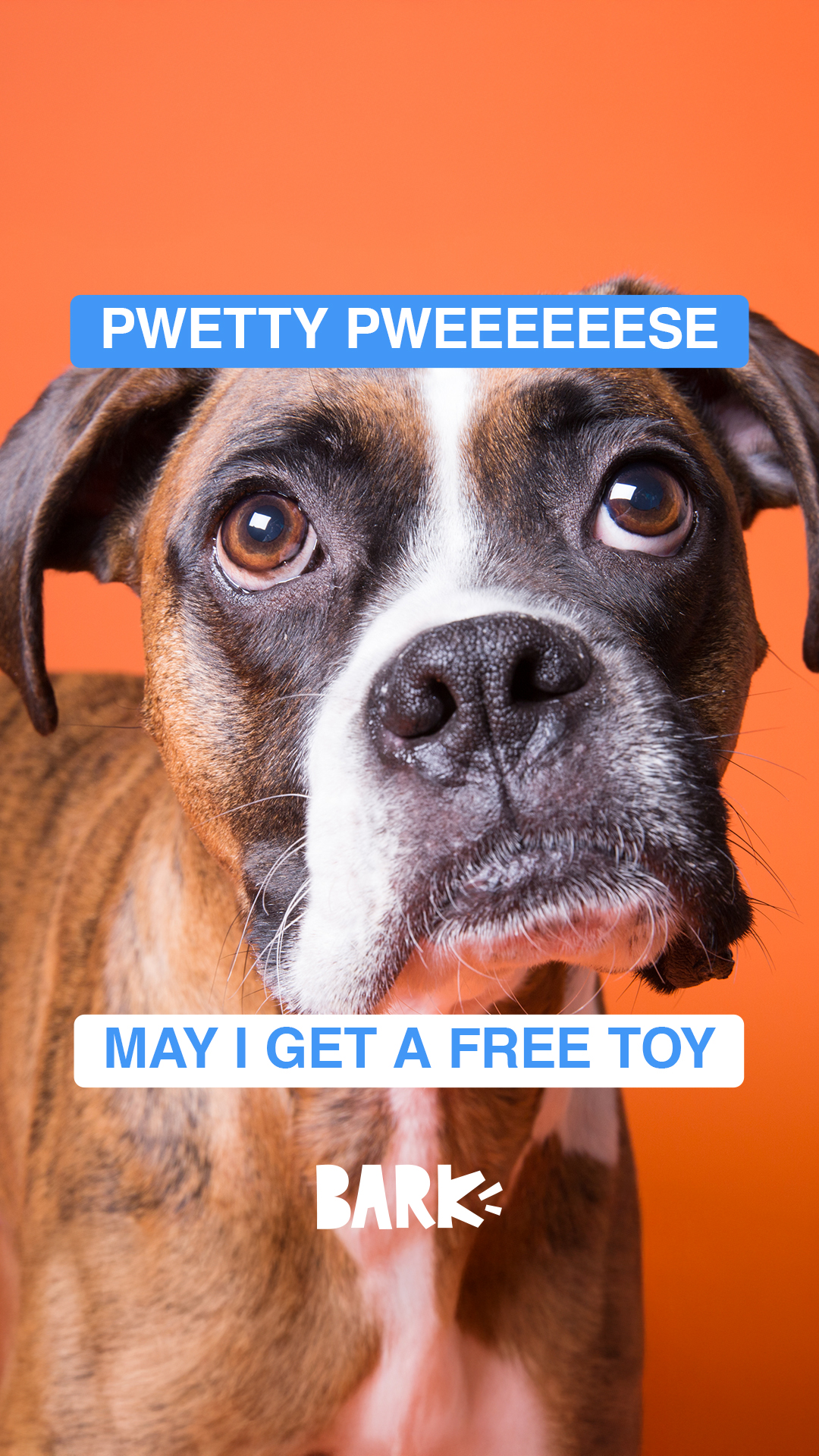 She’s resorted to begging, how embarrassing. Sign up for BarkBox and get a free toy every month for a year.
