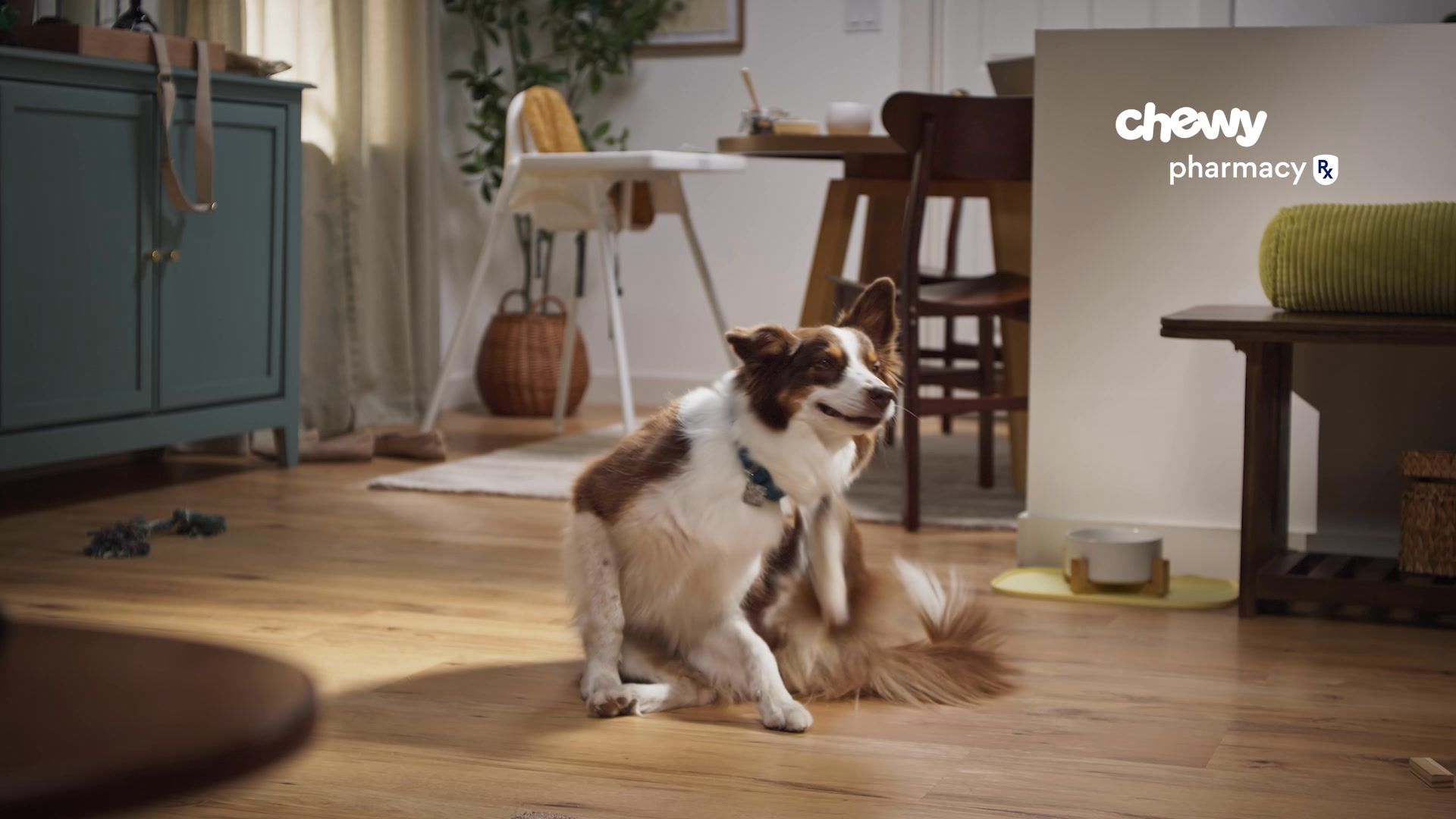 Order flea & tick prevention meds the easy way
