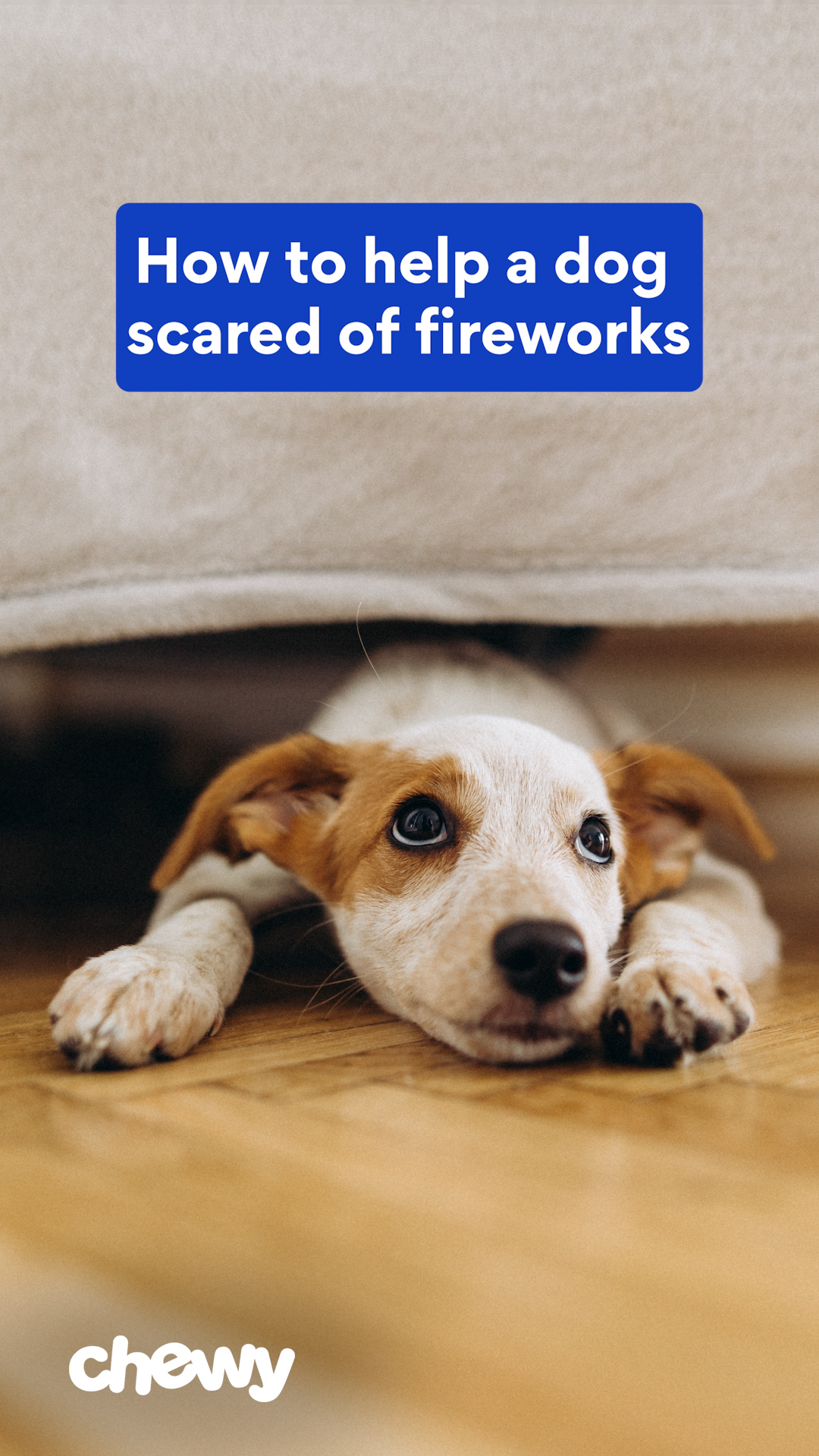 Do fireworks scare your dog?