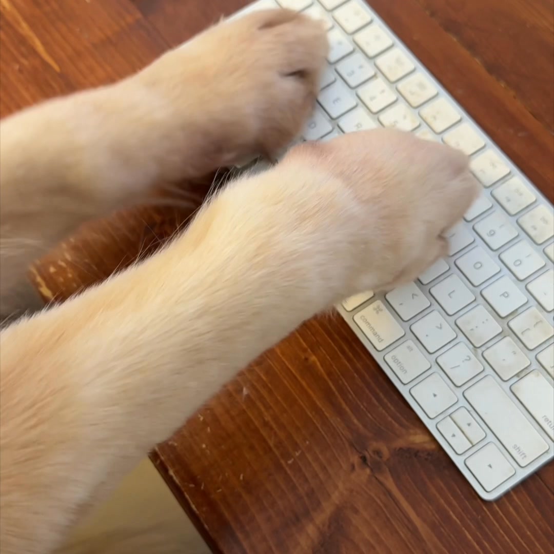Virtual vet visits from Chewy