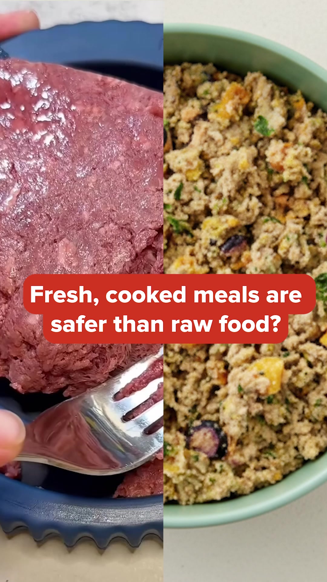 Everything they need to thrive