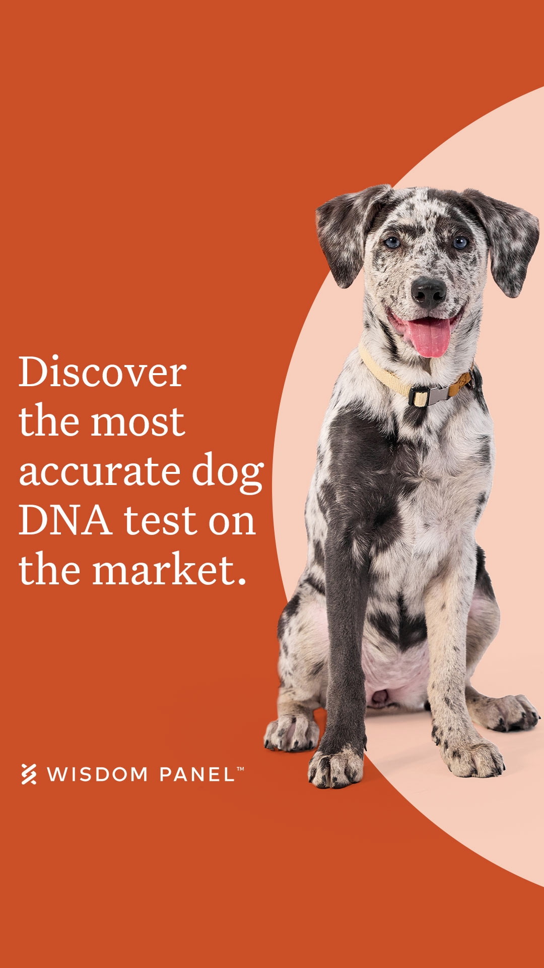 The world’s leading pet DNA test