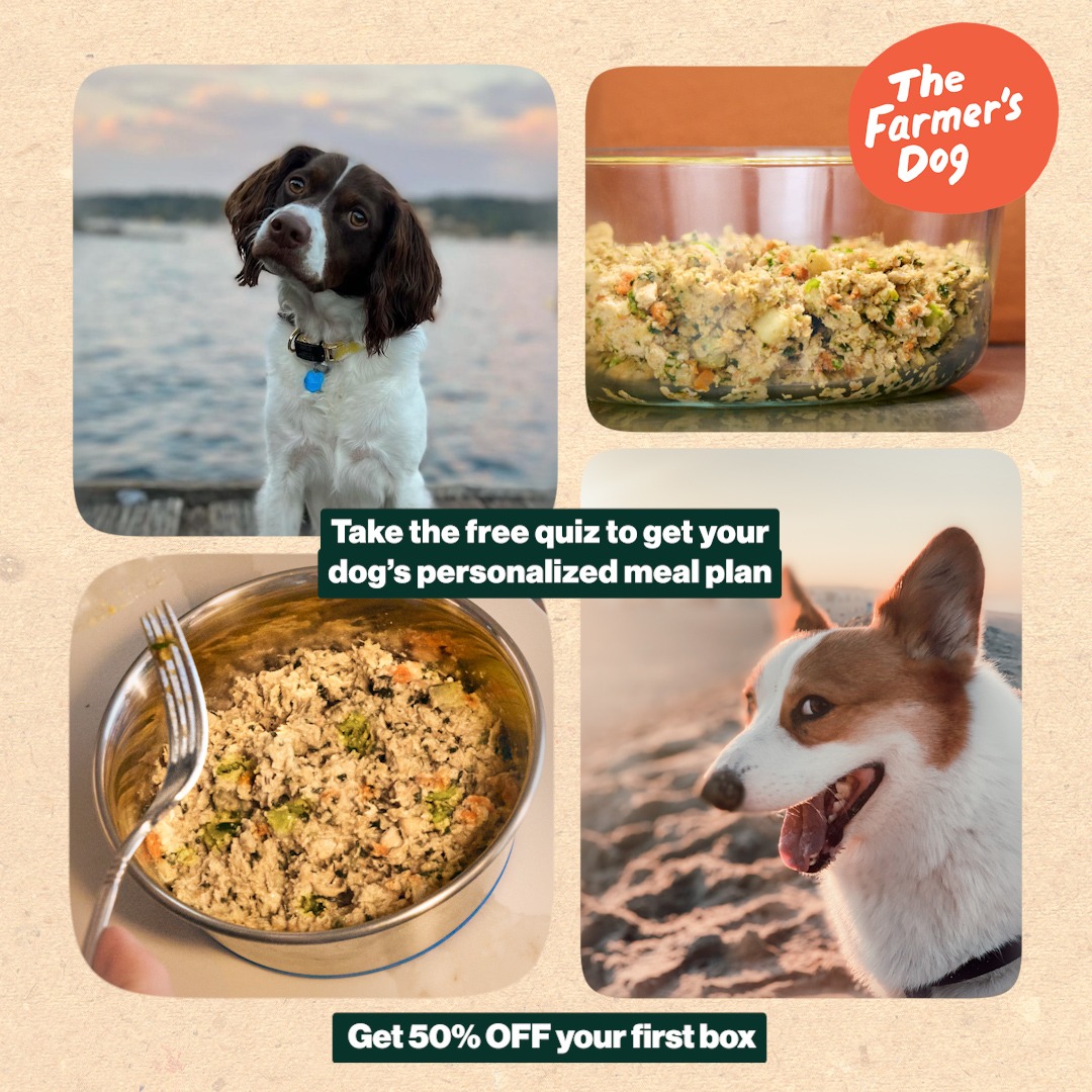 You can tell what our food is just by looking at it. Ditch kibble and get 50% off your first order of real, fresh food.