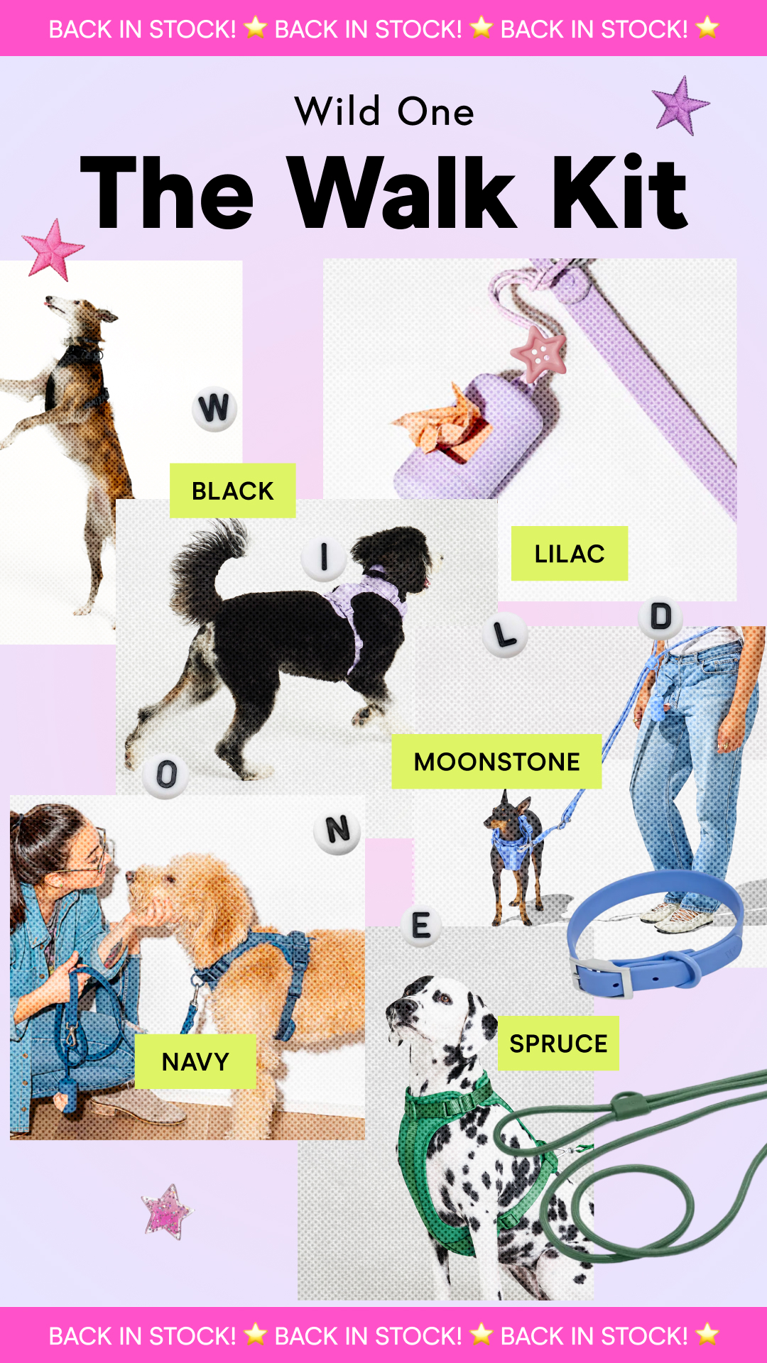 Cute Essentials for Cute Pups ❤️