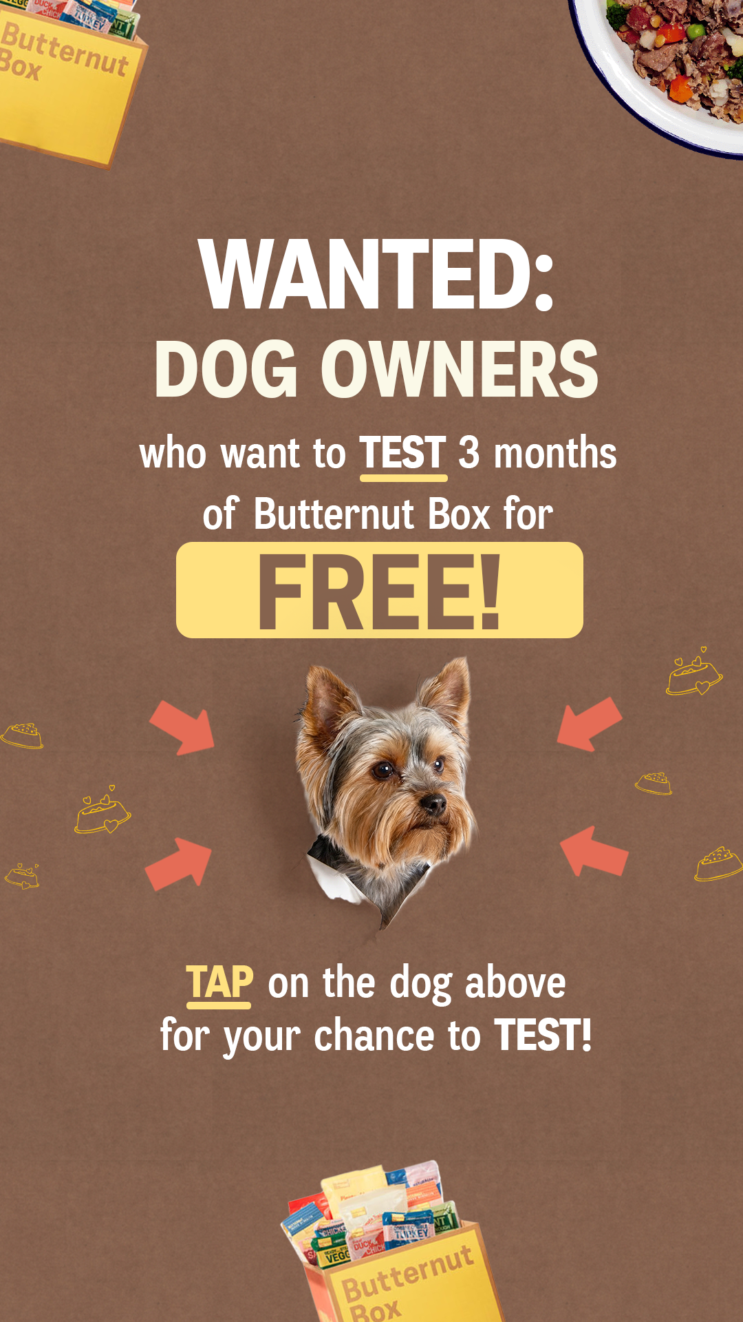 🐶Are you a dog owner?🐶