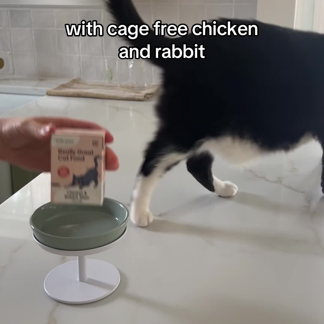 This cat food is AMAZING and here’s why…

😸 Promotes healthy digestion, a lustrous coat, and hydration
🍗 Made of premium ingredients
👩‍⚕️ Expertly developed by feline nutritionists
🇺🇸 Made in USA

✅ 25% off your first or