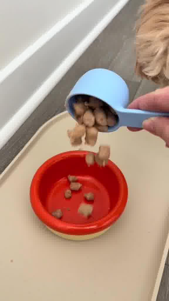 6 Benefits of Switching Your Dog Food 👀

Take 50% OFF your first trial + Personalized Plan for Your Pup!

:🥩 Whole food ingredients
✨ Costs 40% less than frozen fresh
🌱 Fresh without the fridge
👩‍⚕️ Vet-developed & nutri