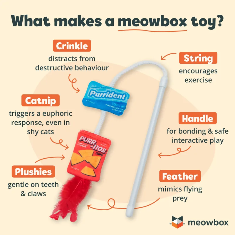 meowbox