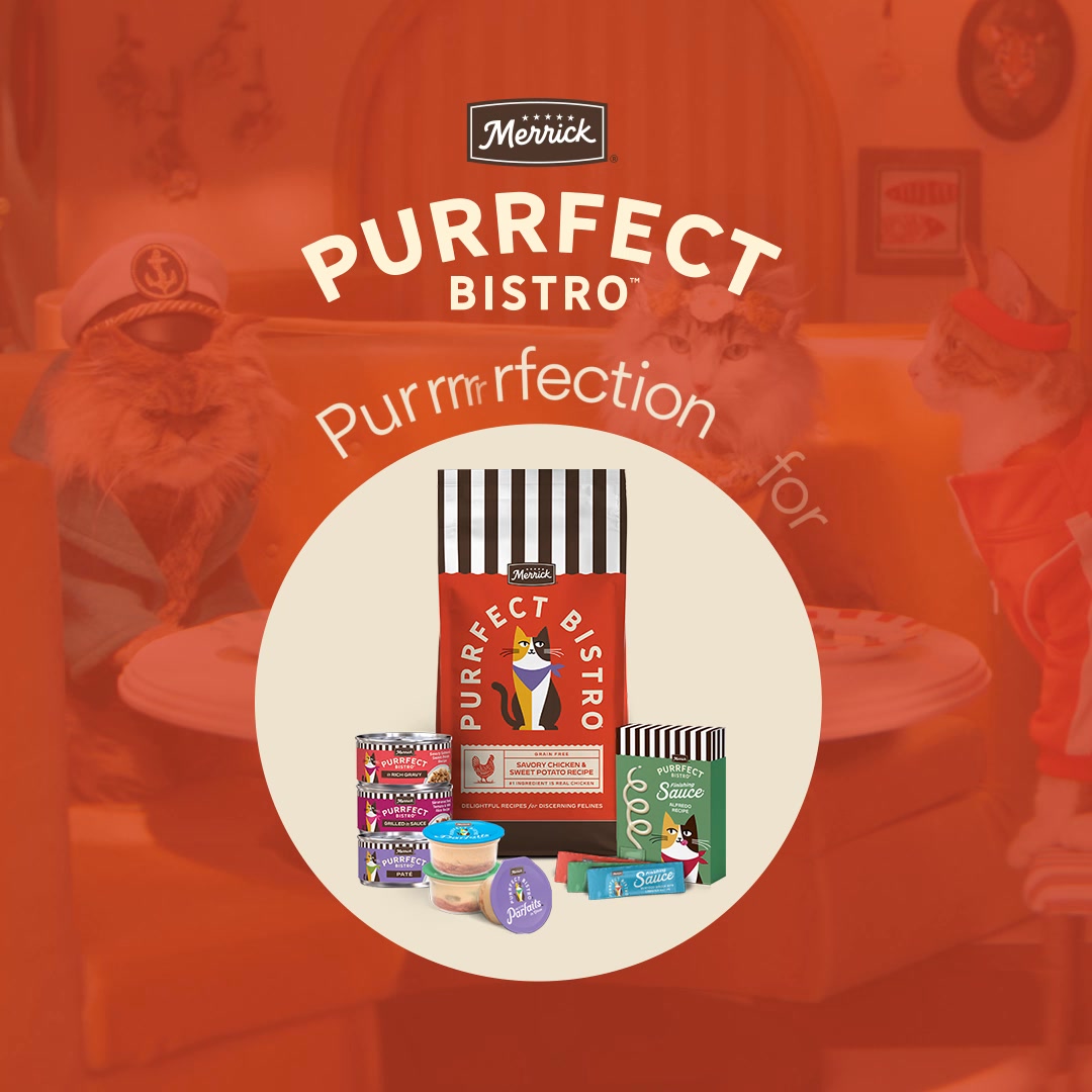 New Purrfect Bistro