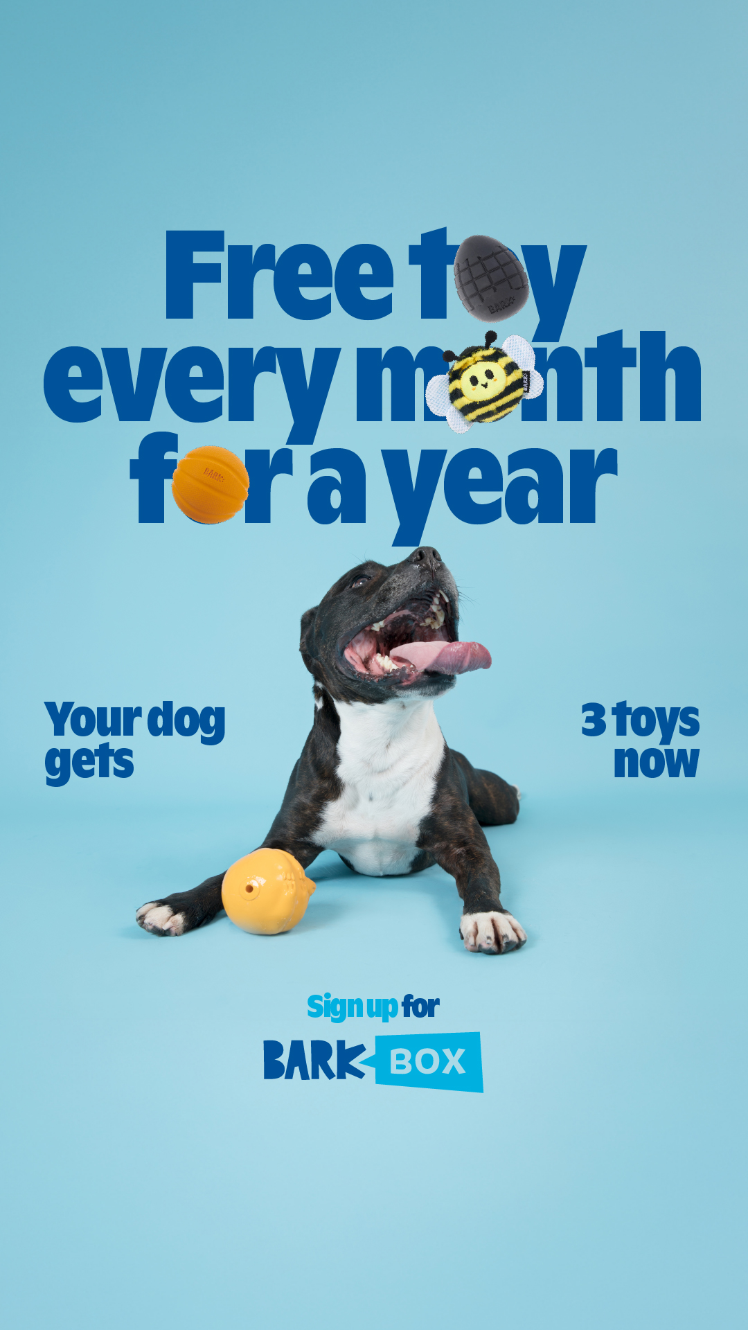 I caught one toy and now they’re just… sending more?? Sign up for BarkBox and get a free toy every month for a year.