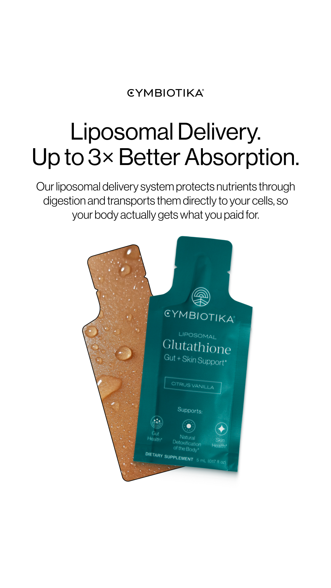 Do your Supplements Absorb?