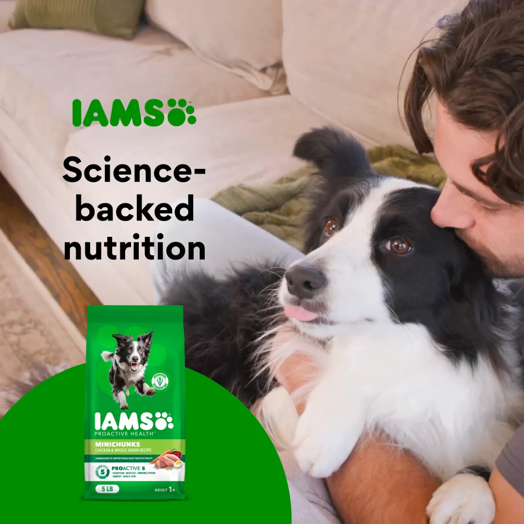 Support 5 key areas of your dog’s health