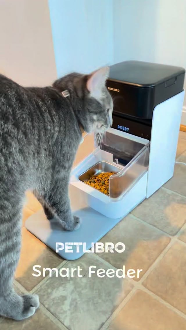 Feeding my cats separately used to be such a struggle until we found the PETLIBRO RFID Automatic Cat Feeders 🐾🤍

Now each cat gets the right food, the right portion, and no more stealing from each other 🙌 I love how easy