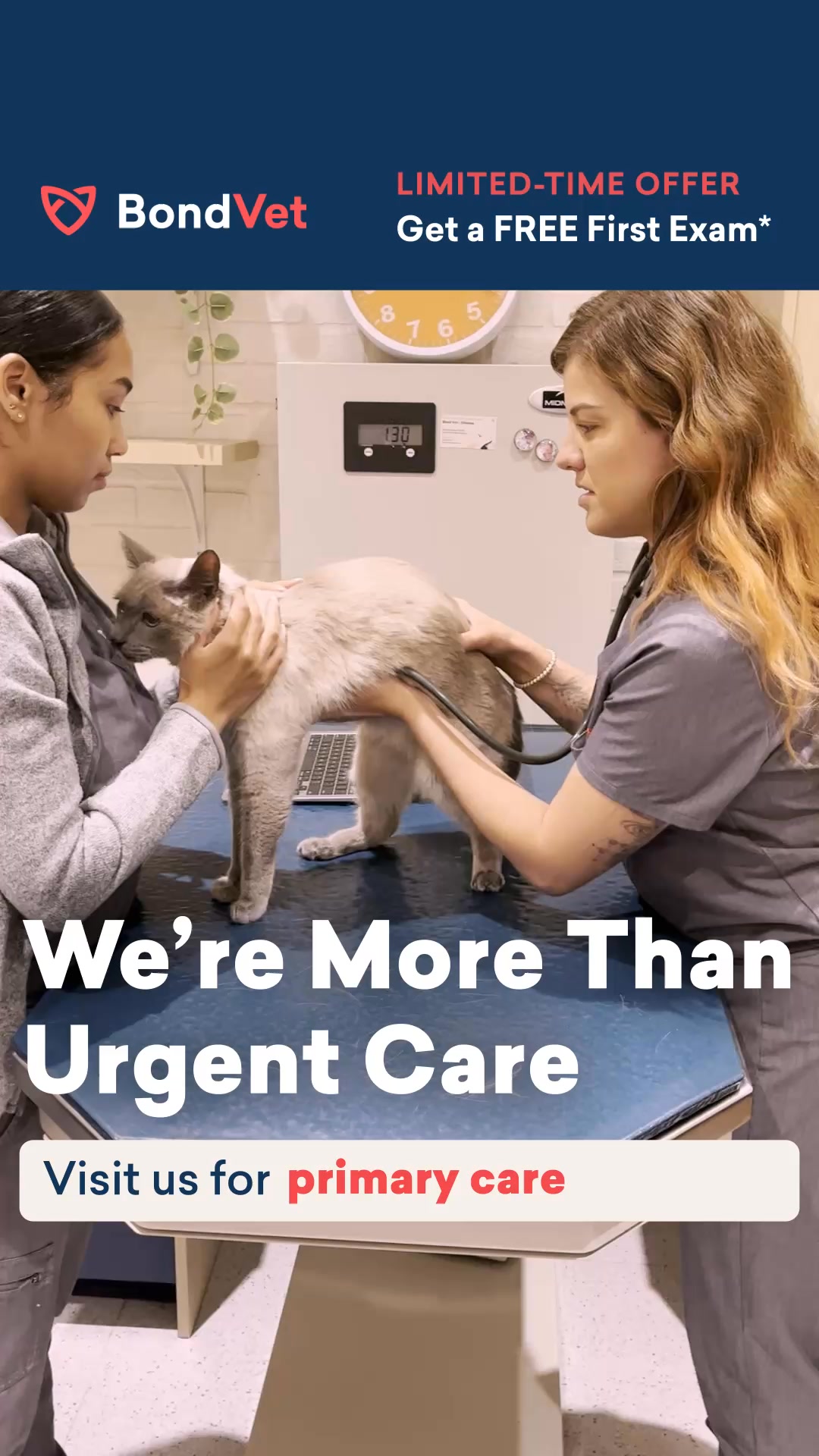 All Your Pet’s Care, One Place