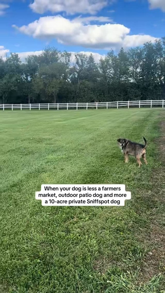 Not every dog is meant for crowds and that doesn’t make them difficult or broken. ❤️
.
.
#sniffspot #privatedogpark #privatedogparks