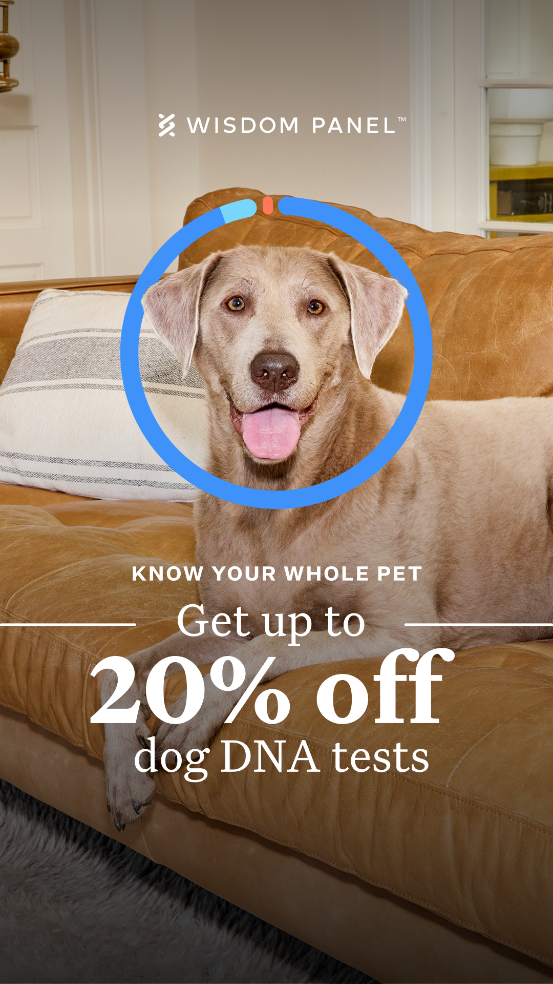 National Pet Month sale