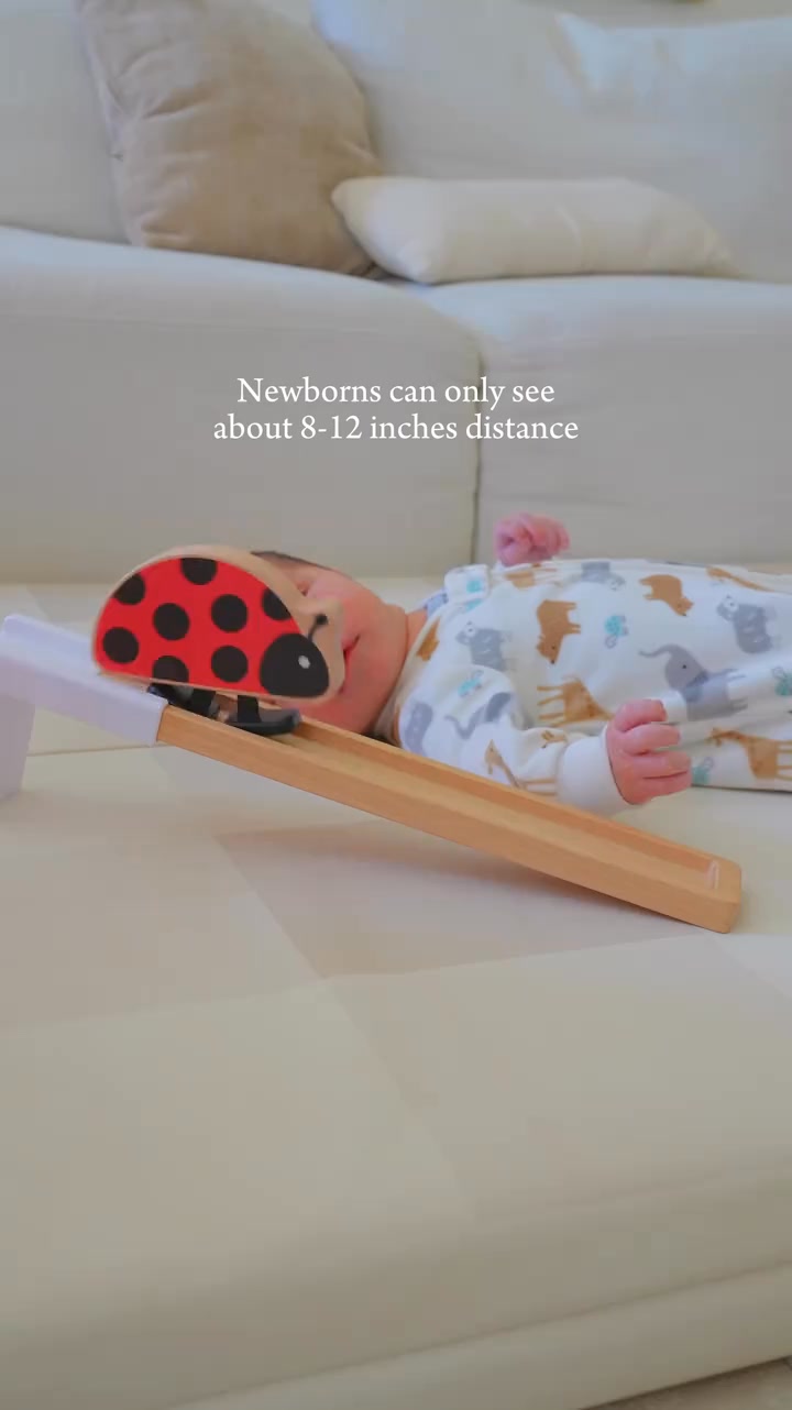 "Newborns don’t need much for “play”, but I do LOVE “The Looker” Play Kit from @Lovevery 🫶🏼"  

🎥: aangelicawilliams