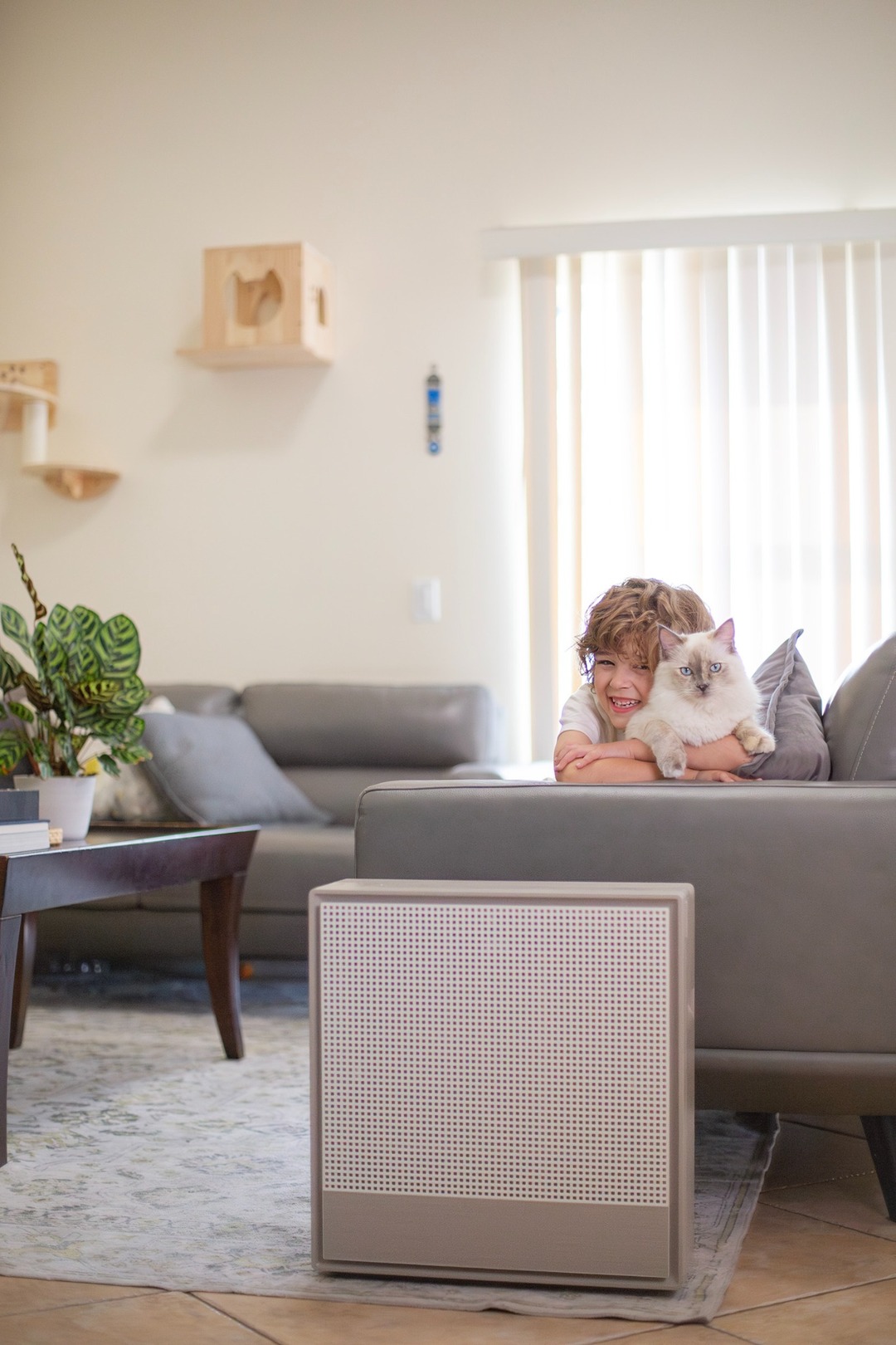 Breathe easy with the Airmega 250 🌱 Keep your home's air clean from allergens, mold, and more with the powerful 3-stage filtration 💨