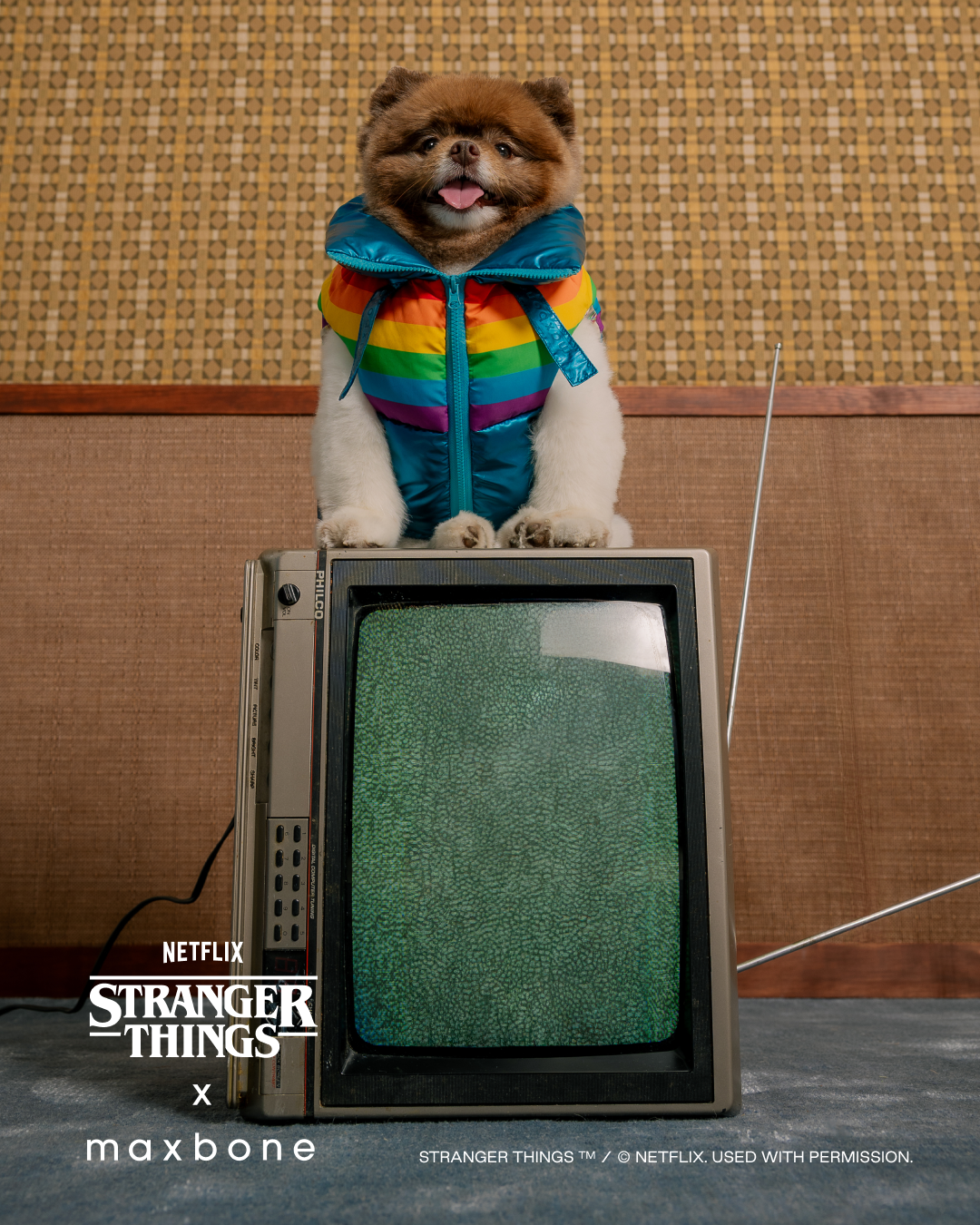Stranger Things x Maxbone