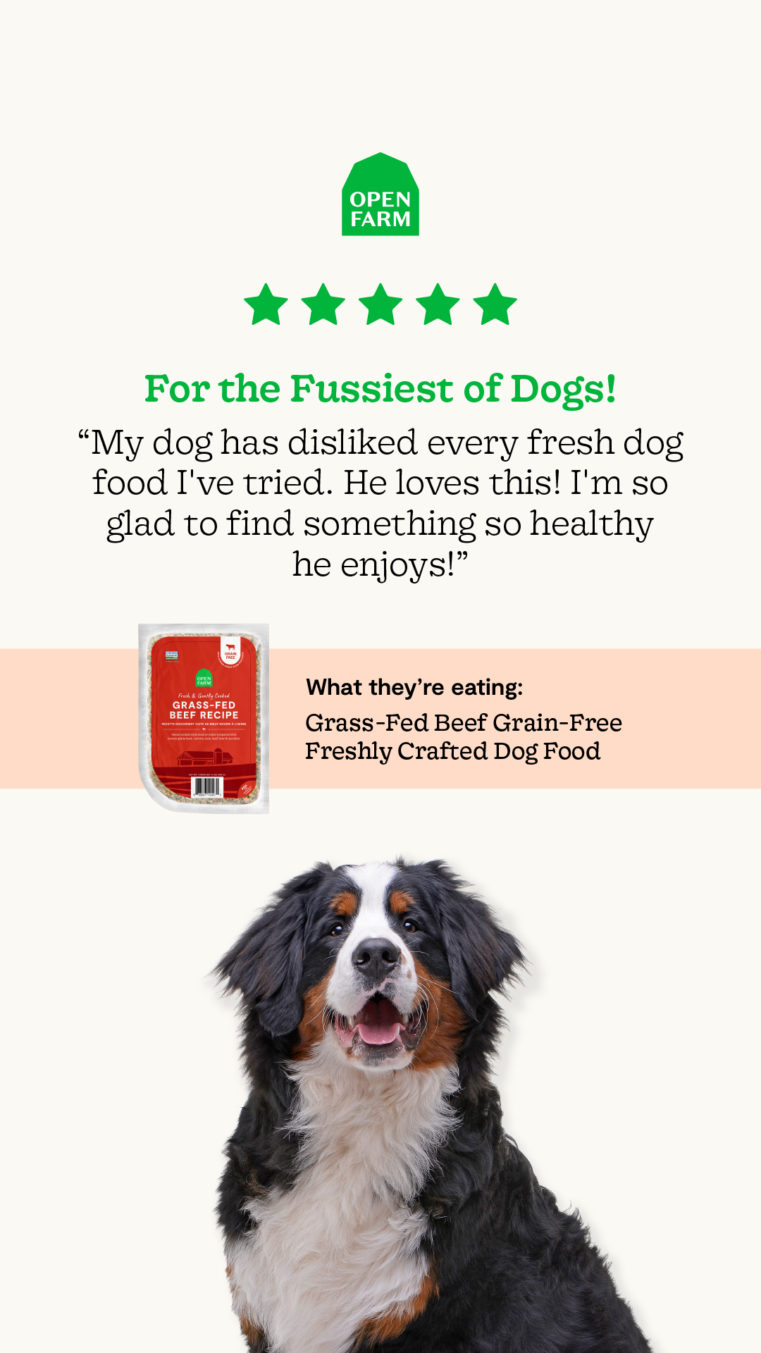Open Farm's fresh food recipes excite even the pickiest dogs at mealtime—it's not just eaten, it's devoured.