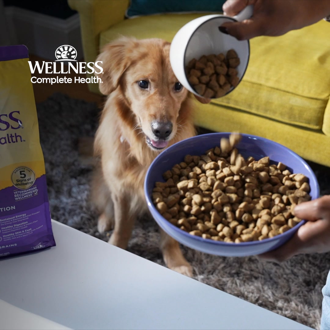 Feed Well. Be Well.