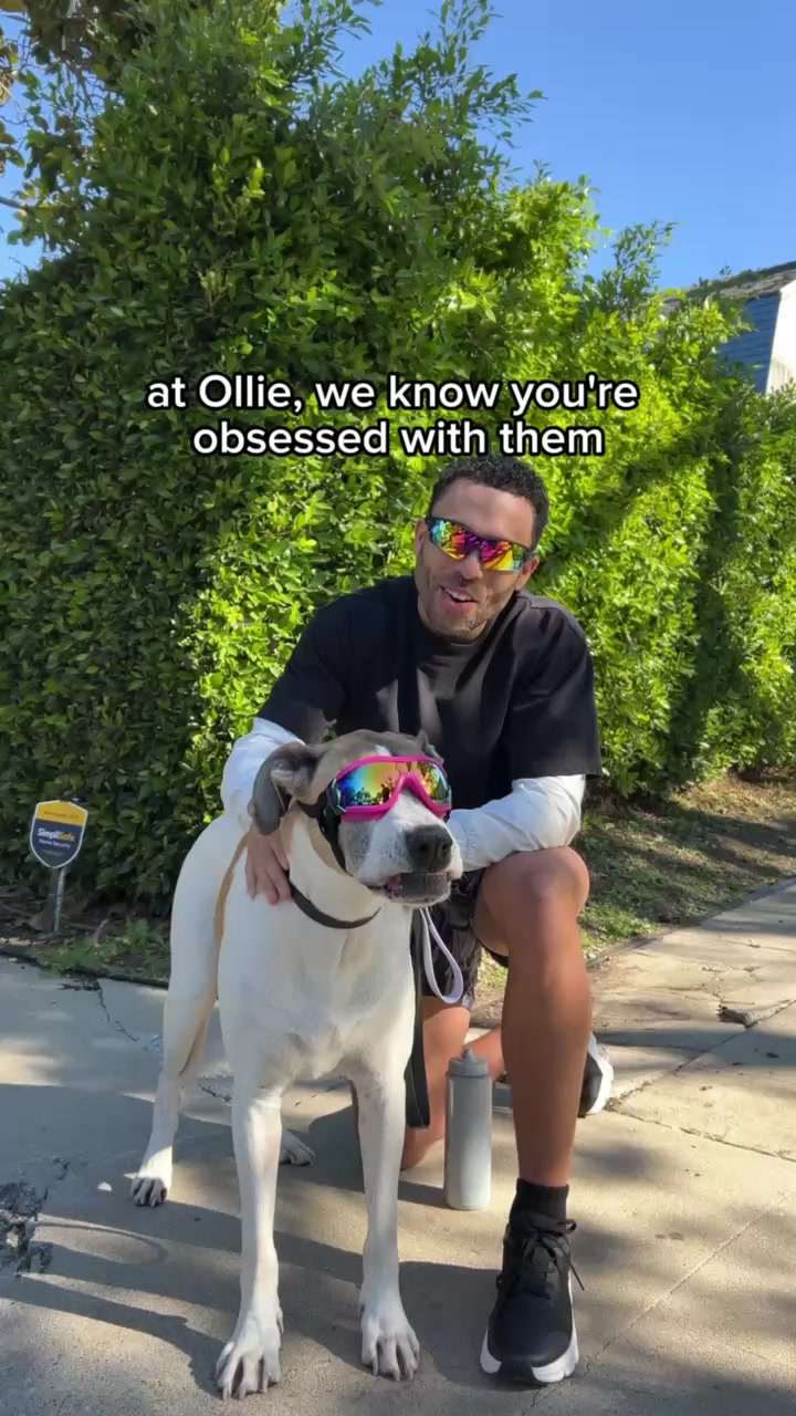 If your bed space depends on where your dog is sleeping, you're obsessed. 🛏️

And honestly? We love that! 💜

Ollie is here to make sure the way you feed them matches that energy.

Fresh food. Real ingredients. Feed the o