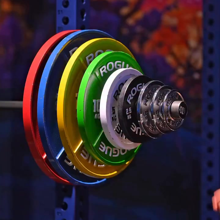 Shop Rogue Calibrated Steel KG Plates now!