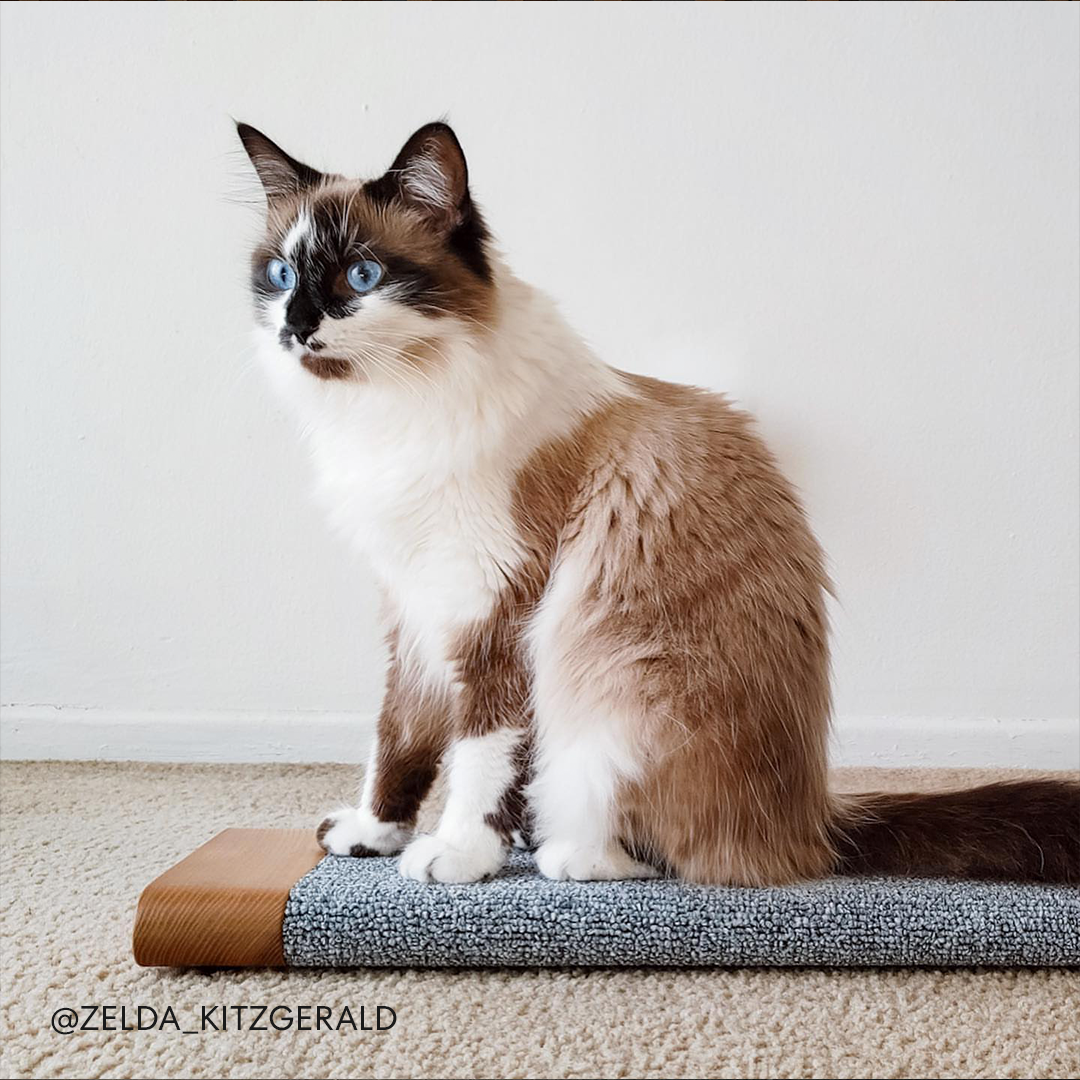 "Life with cats is AMAZING 🐈  but most cat products aren’t. At tuft + paw, we make thoughtfully designed, high-quality products for cats and their people.

Our cat furniture is…
😸 Backed by Cat Behaviorists
🐾 Rigorously 