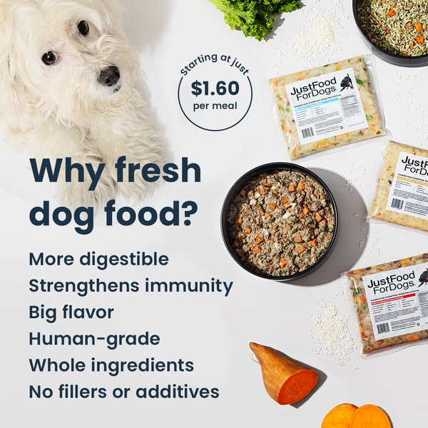 Transform your dog's life with gently cooked real meals.

🍃 Fresh human-grade ingredients
🐶 Flavors your dog will love
👨‍🍳 Cooked in real kitchens