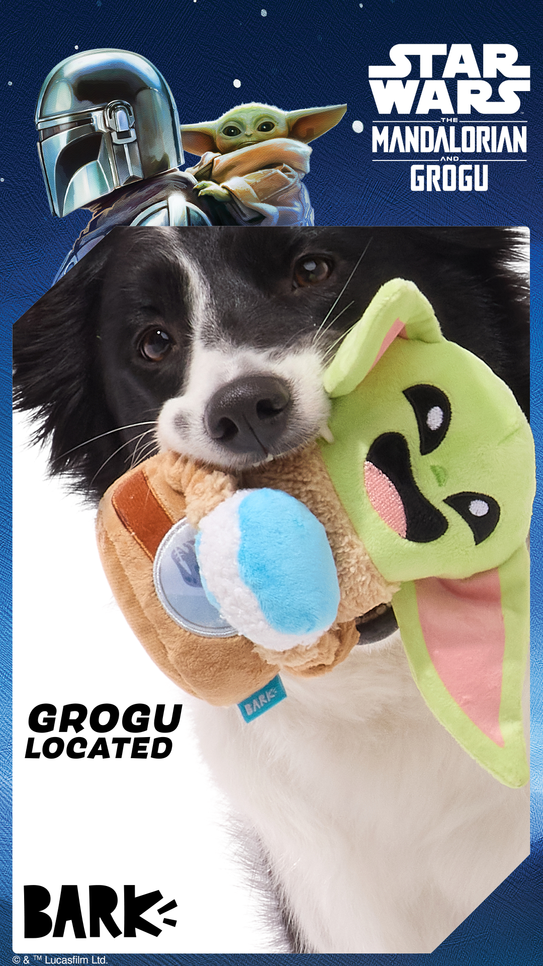 Save the galaxy with Star Wars™: The Mandalorian and Grogu themed BARK toys