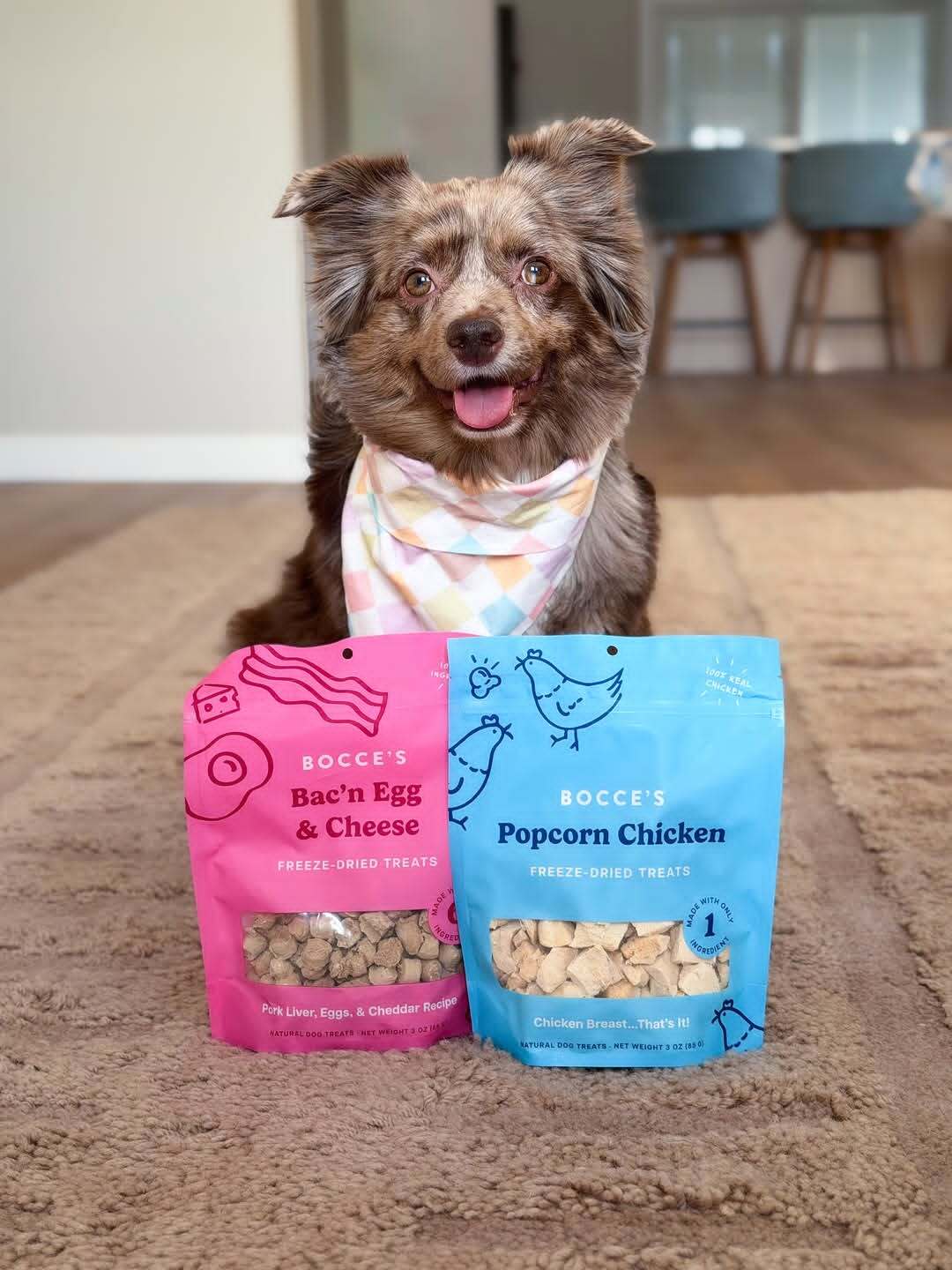 Shop Dog Treats