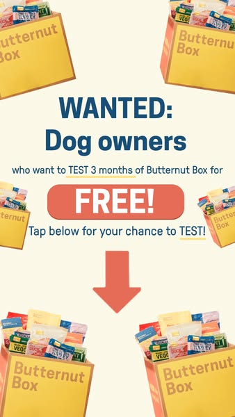 🐶Are you a dog owner?🐶
