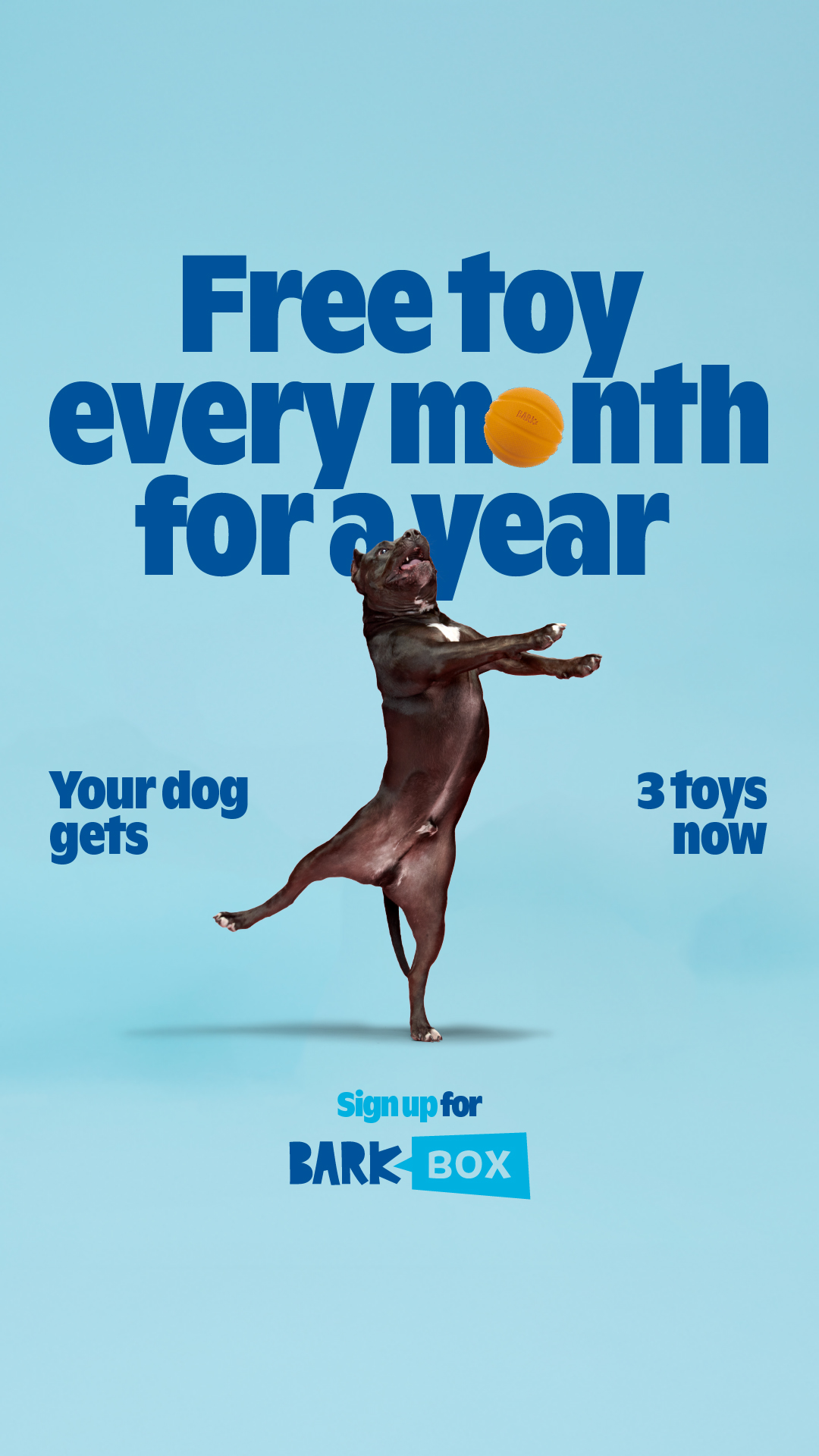I trained my whole life for this moment (i did not train) Sign up for BarkBox and get a free toy every month for a year.