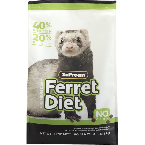 From hay to hideouts and more—find everything small pets need at Chewy.