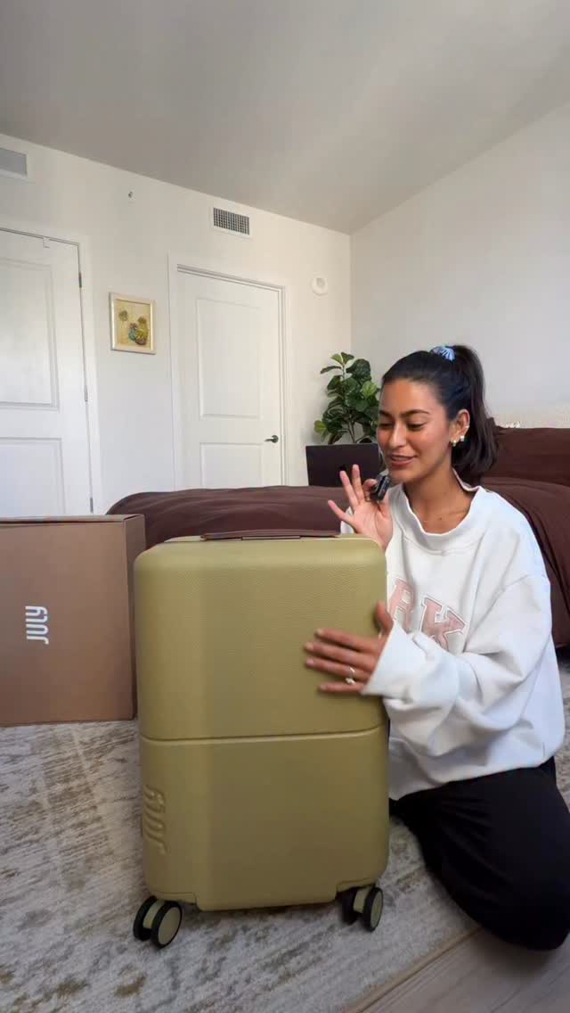 The only luggage we use in this household @july