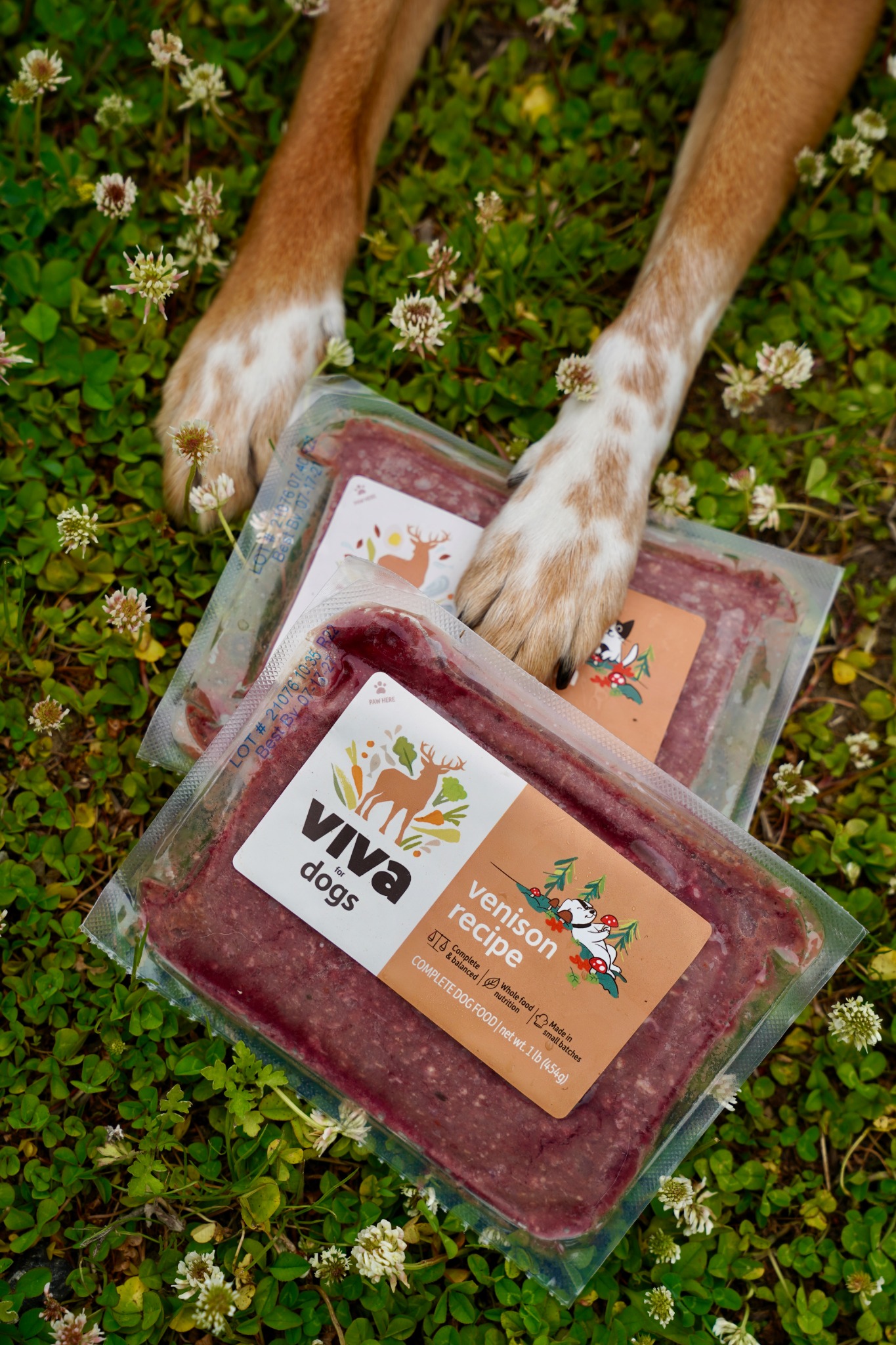 Limited Time: Venison Recipe Is Back