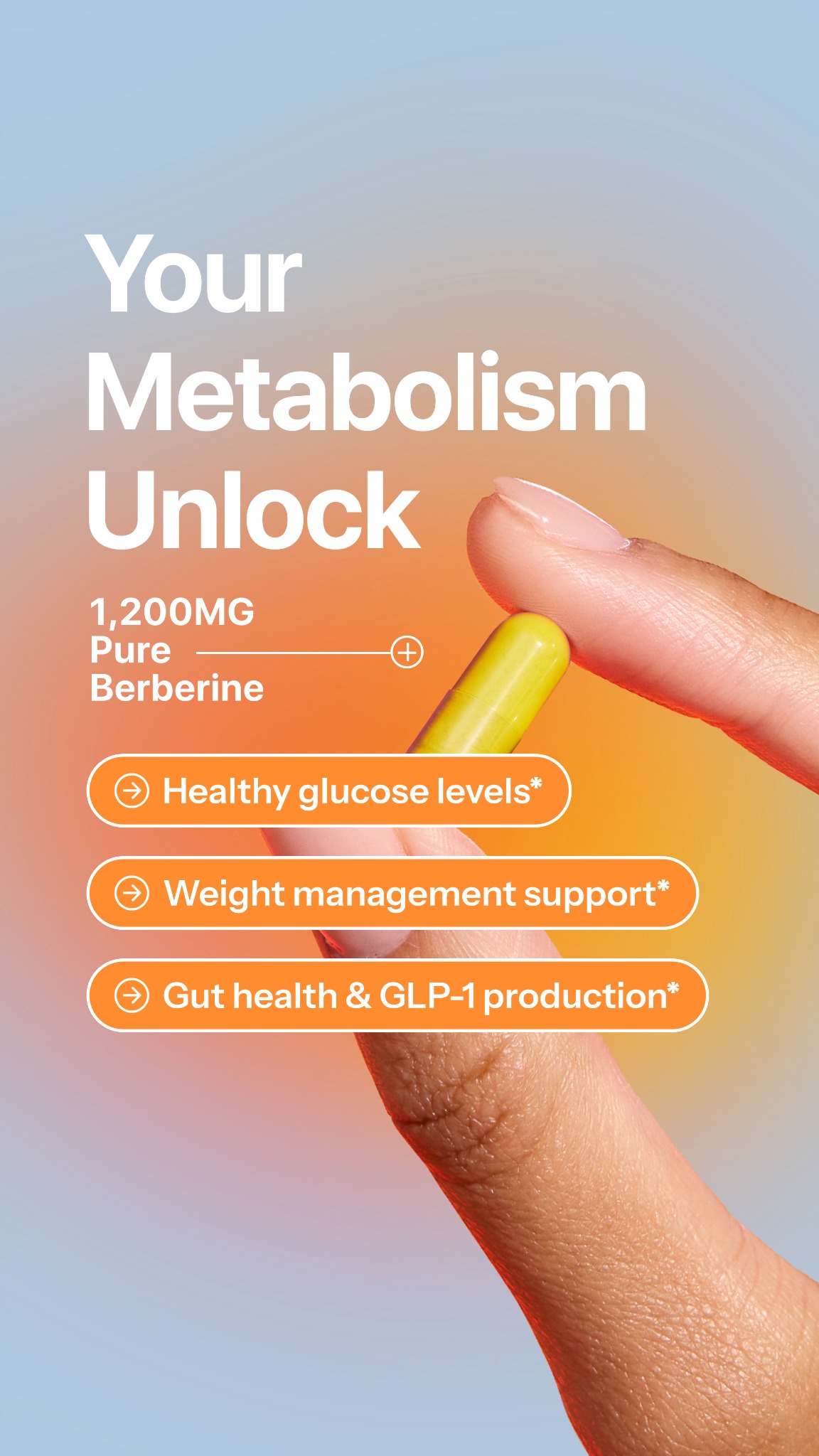 Metabolism, simplified.