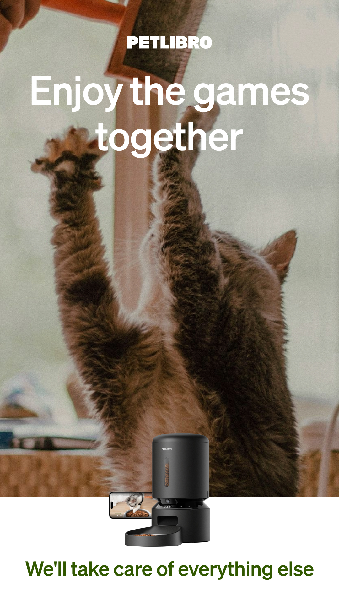 🏆 Champions rely on consistency. Give your little champion a podium-worthy routine with smart care from Petlibro. 🐈