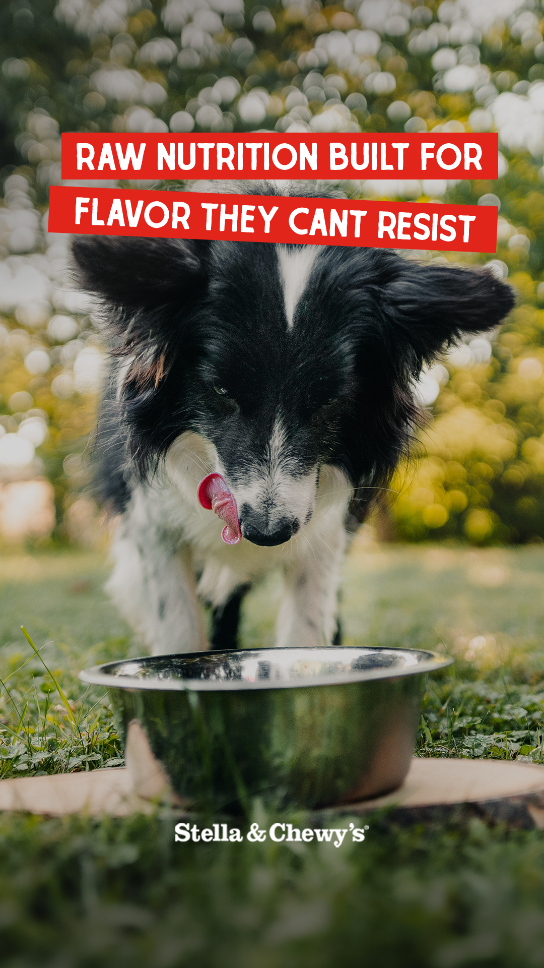 Feed better. Feel better.