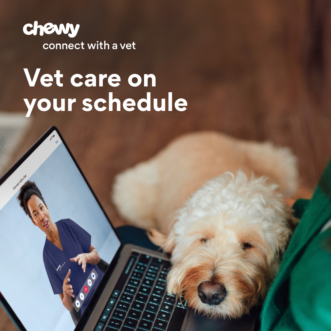 Talk to a vet from the comfort of home, day or night, and get advice, Rx approvals, and more—just $49.99 per consult.