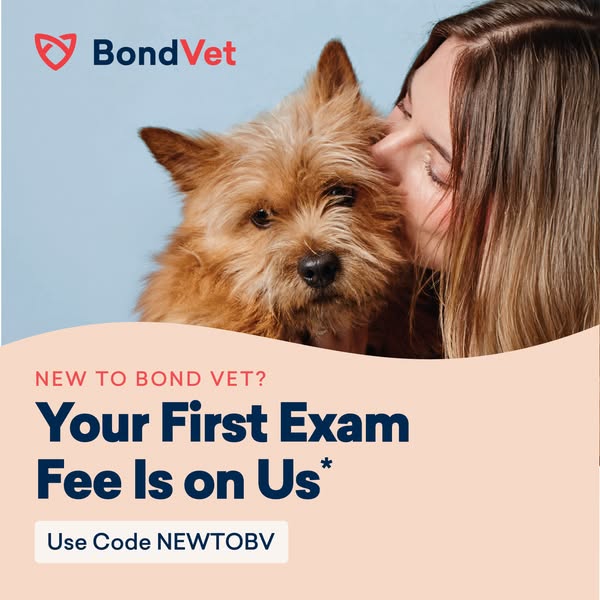 Limited-Time Offer