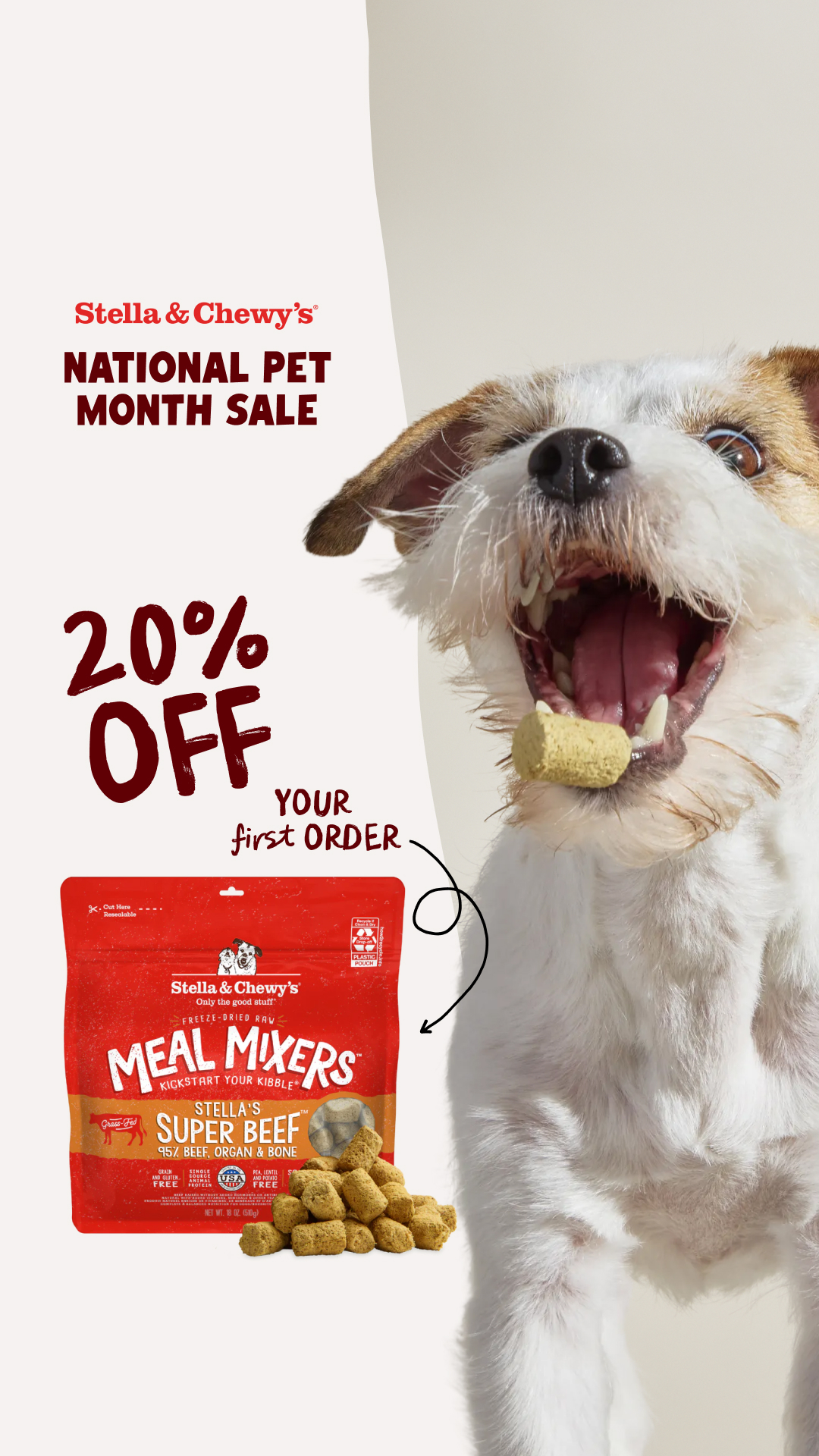 Go Wild for National Pet Month
