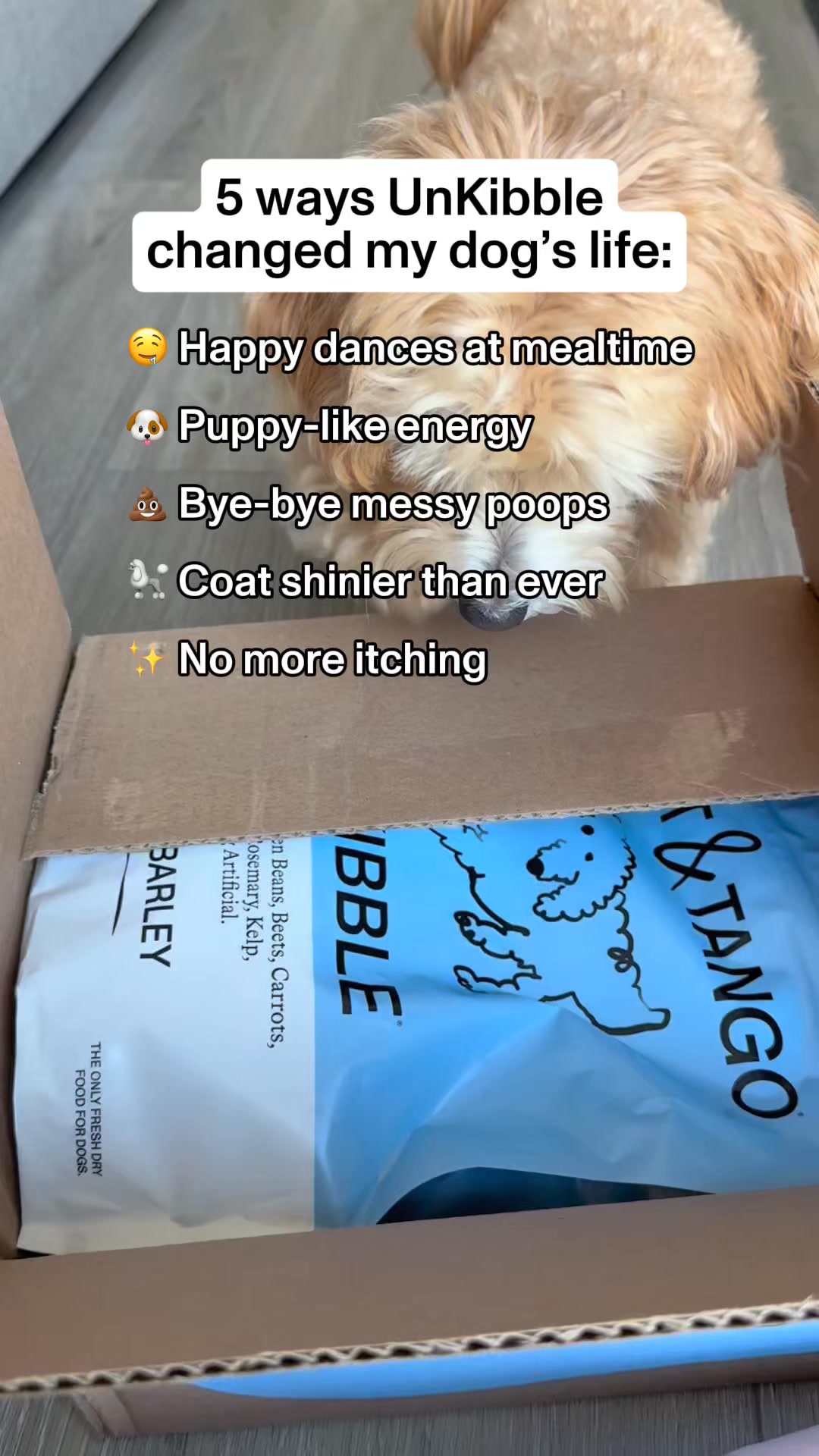 🚨 LIMITED TIME: Take 50% Off Your First Box 🚨

🥩100% whole food ingredients 
✨Costs 40% less than fresh-frozen 
🌱Fresh without the fridge 
👩‍⚕️Vet-developed & customized 
📦Made in the USA

UnKibble gives your dog the nut