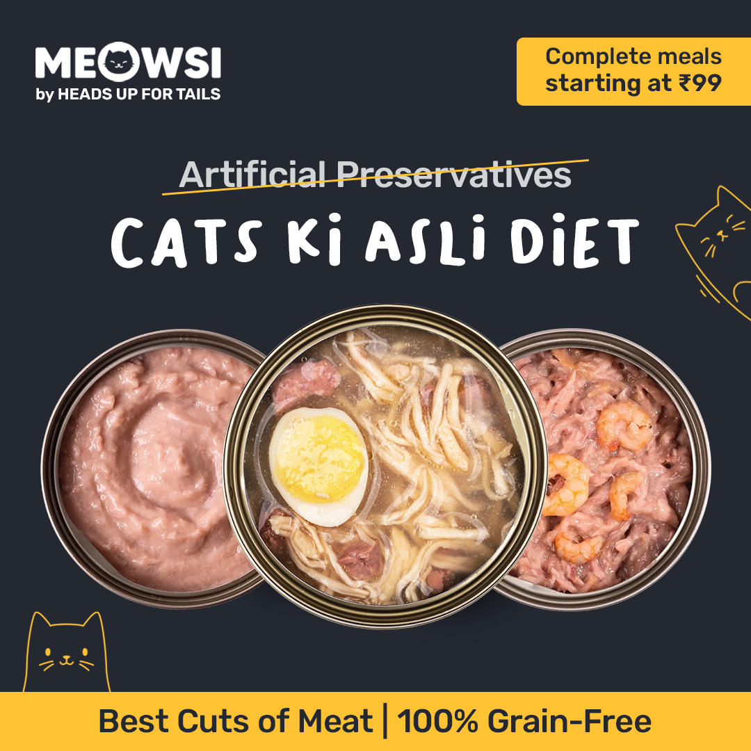 Aapke cat ke diet mein artificial preservatives ki koi jagah nahi ❌ With Meowsi, you choose only the best quality nutrition for them! 

😻 Best cuts of meat & fish
😻 Zero artificial preservatives 
😻 100% grain-free
😻 Comp