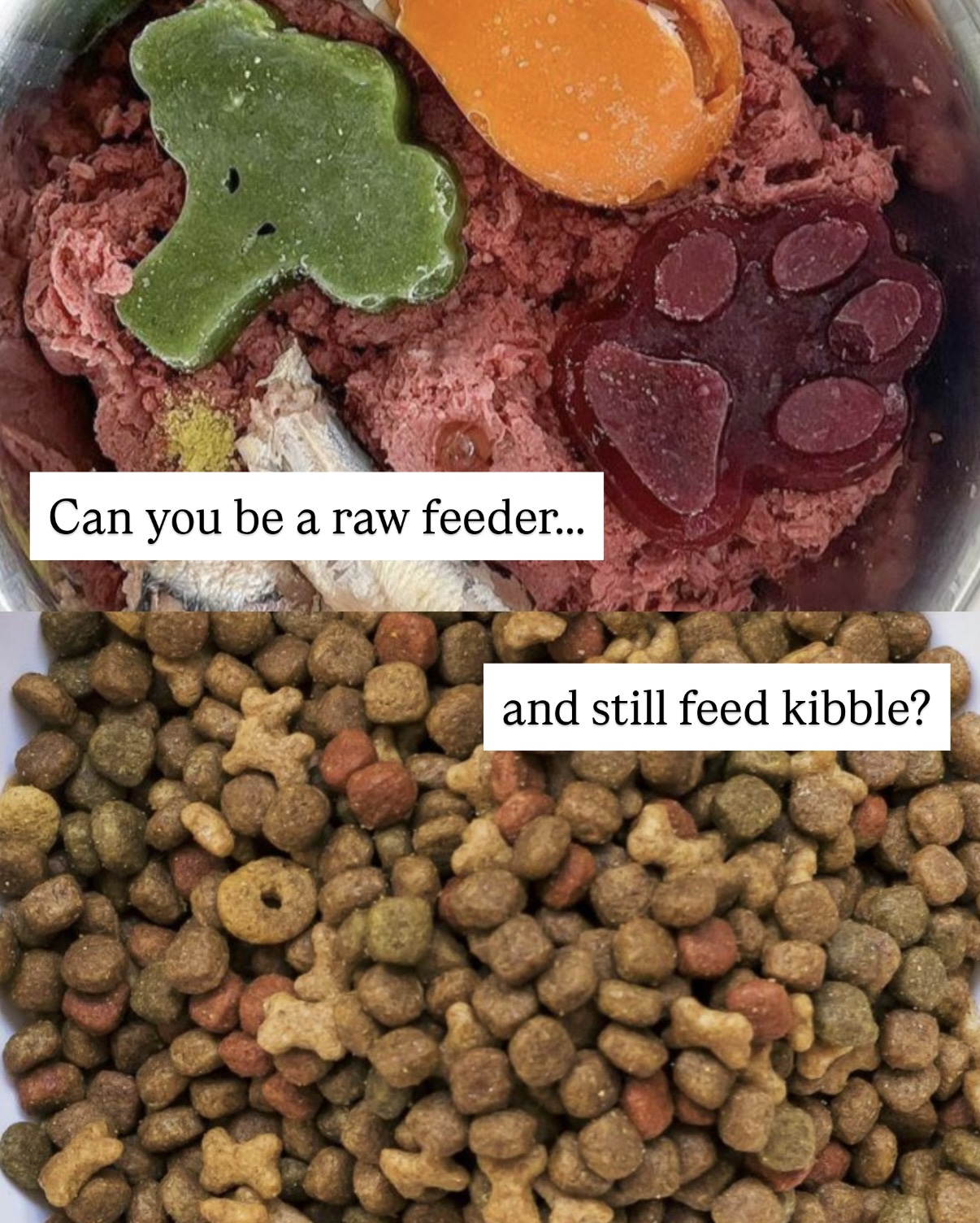 We Feed Raw