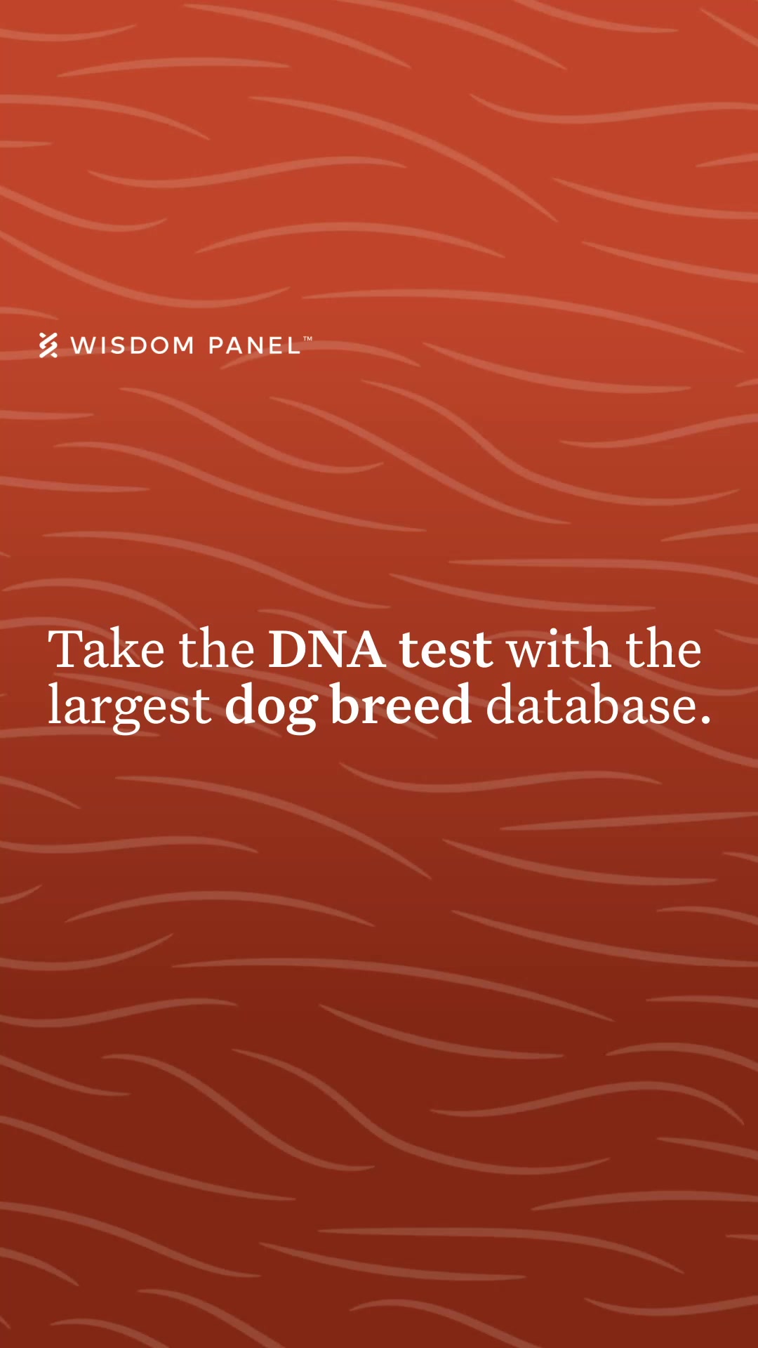 Get insights into your dog's health, breed, behavior, and relatives from the most accurate dog DNA test.
