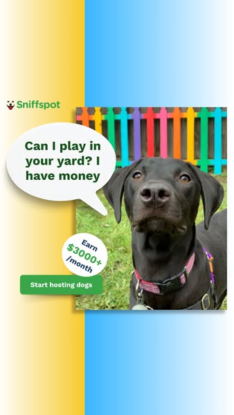 Rent your yard to Dogs 🙌 🐕‍🦺