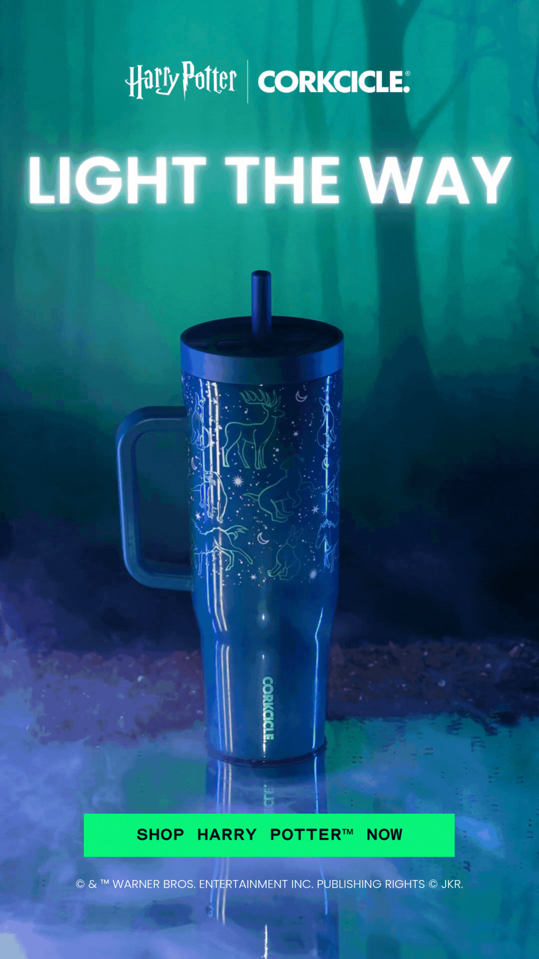 Glow-In-The-Dark 40oz Leakproof Cruiser