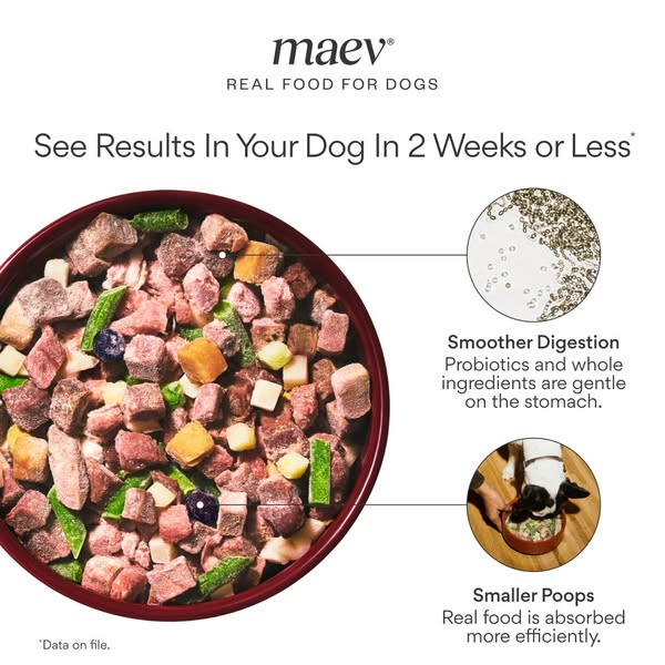 Try Maev Today